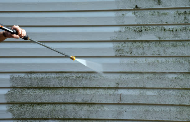 Best Solar Panel Cleaning  in Bloomfield, NY