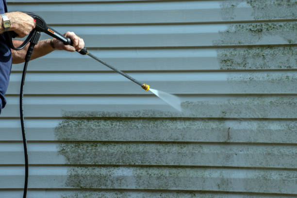Best Driveway Pressure Washing  in Bloomfield, NY